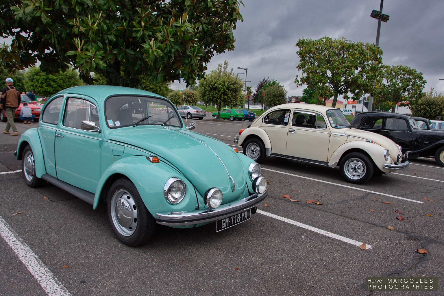 VW Cox-03.jpg